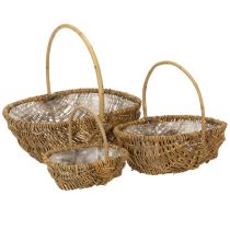 Itens Cesto para batatas 43/33/23cm com revestimento de alumínio, cor natural, conjunto de 3 unidades.