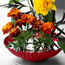 Itens Auxílio criativo para arranjos florais com pinos de latão para Ikebana e arranjos de flores.