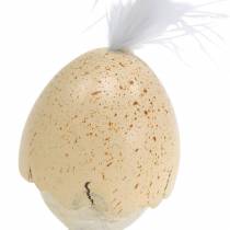 Itens Frango na casca de ovo clara, creme 6cm 6uds