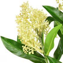 Itens Creme de flores artificiais Skimmia japonica Skimmie 45cm 2 unidades