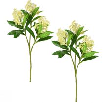 Itens Creme de flores artificiais Skimmia japonica Skimmie 45cm 2 unidades