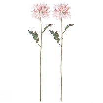 Itens Crisântemos Artificiais Rosa Malva Ø13cm C72cm 2pcs