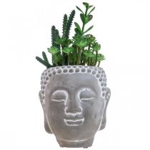 Vaso de Suculentas Artificiais Buda Ø12cm A24cm