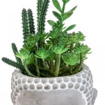 Vaso de Suculentas Artificiais Buda Ø12cm A24cm