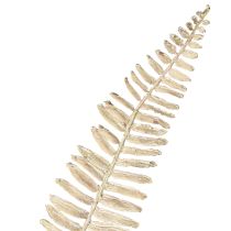 Itens Plantas artificiais de samambaia ramificada creme branco C120cm