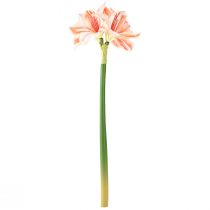 Itens Estrela de Cavaleiro Artificial Flores Artificiais Branco Vermelho Laranja Amarílis 40cm 3pcs