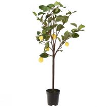 Itens Atraente limoeiro artificial em vaso, planta artificial decorativa amarela, 90 cm, fácil de cuidar, adequada para espaços residenciais e comerciais.