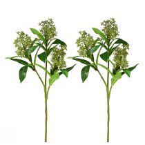Itens Flores artificiais verdes Skimmia japonica Skimmie 45cm 2 unidades