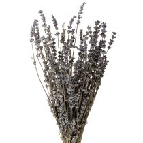 Itens Flores secas perfumadas de lavanda 35-40cm 50g