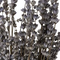 Itens Flores secas perfumadas de lavanda 35-40cm 50g