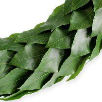 Coroa de louros Ø46cm verde