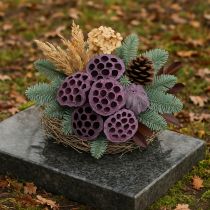 Itens Cápsulas de lótus, floricultura seca, bulbo de lótus rosa, caiado de branco 50 peças