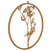Itens Anel de metal, metal enferrujado, anel decorativo, decoração de parede, raminho de endro, Ø38cm
