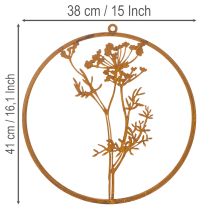 Itens Anel de metal, metal enferrujado, anel decorativo, decoração de parede, raminho de endro, Ø38cm
