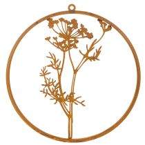 Itens Anel de metal, metal enferrujado, anel decorativo, decoração de parede, raminho de endro, Ø38cm