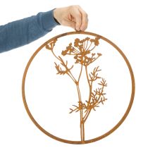 Itens Anel de metal, metal enferrujado, anel decorativo, decoração de parede, raminho de endro, Ø38cm