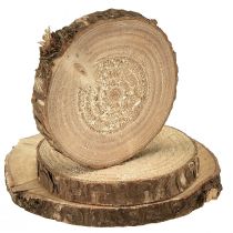 Itens Mini fatias de madeira, decoração natural, Ø3-6cm, 600g, artesanato DIY