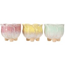 Itens Mini plantador vaso de cerâmica flores sortidas Ø8cm H7cm 3pcs