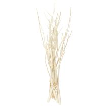 Itens Galhos de Mitsumata brancos 34-60cm 12 unidades