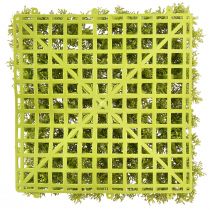 Itens Tapete de musgo artificial – perfeito para imagem de musgo verde claro 25×25cm