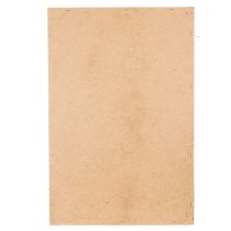 Itens Quadro de musgo, musgo e galhos preservados, naturais, 60×40cm