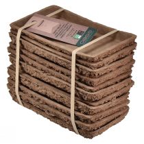 Itens Base Oasis Biolit para blocos de espuma floral 25×14×2cm, 11 peças - Acessórios sustentáveis para arranjos florais