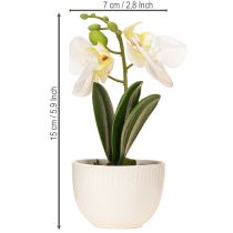 Itens Mini orquídeas artificiais orquídeas brancas em vaso 15cm