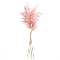 Itens Grama-dos-pampas seca rosa, 65-75 cm, decoração floral seca, 6 peças.