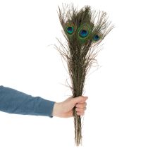 Itens Penas de pavão, penas de ave verdadeiras para artesanato e decoração, 55 cm, 10 peças