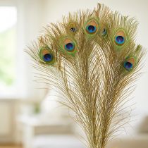 Itens Decoração com penas de pavão, penas de ave verdadeiras, 75-85 cm de comprimento, 8 peças.