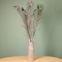 Itens Decoração com penas de pavão, penas de ave verdadeiras, 75-85 cm de comprimento, 8 peças.