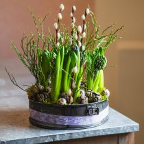 Itens Floreira, assadeira decorativa, forma de mola para plantio, decoração em metal Ø24cm Alt.7,5cm