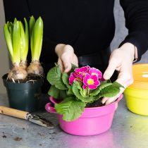 Itens Vaso de metal, design original para espaços sofisticados e decoração elegante, 17 cm, conjunto de 3 peças.