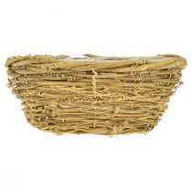 Itens Tigela para plantas tigela redonda videira natural Ø23cm Alt.9,5cm