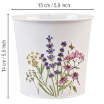 Itens Vaso de plantas, floreira, chapa metálica, floreira Ø15cm A14cm