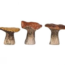 Itens Figuras decorativas de cogumelo inspiradas na natureza - vários tons de marrom, 6,4 cm - detalhes encantadores para jardim e casa Pacote de 3