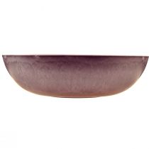 Itens Tigela elegante de plástico roxo 37x10,5 cm - versátil para decoração - 3 peças