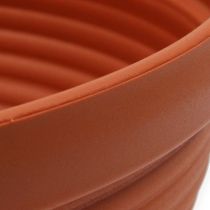 Itens Terracota de plástico R-bowl Ø 13cm - 19cm, 10pcs