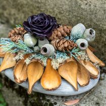 Itens Cápsulas de frutas e sementes Pradeep Pods 9-12 cm naturais 50 peças
