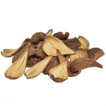 Itens Cápsulas de frutas e sementes Pradeep Pods 9-12 cm naturais 50 peças