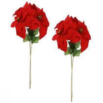 Itens Magnífica estrela de Natal - Poinsétia em vermelho - 46 cm 6 unidades 2 cachos