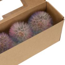 Itens Decoração de dente-de-leão, flor seca, estabilizada e tingida, delicada, durável, 12 cm, 4 peças