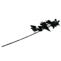Itens Orquídea para decorar Preto 54cm