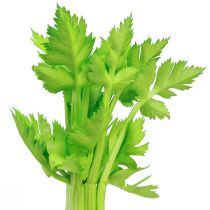 Itens Talos de aipo artificiais decoração vegetal com toque real 30cm