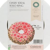Itens Anel de espuma floral OASIS® verde H3cm Ø25cm 6 peças