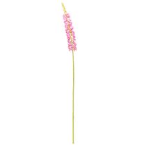 Itens Vela Steppe Desert Tail Rosa 106cm