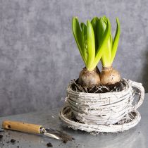 Itens Xícara de chá feita de material natural com charme rústico para decoração exclusiva de interiores, 13 cm.