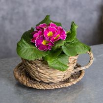 Itens Cesto em formato de xícara de chá para decoração natural e ambiente charmoso, 15 cm