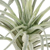 Itens Tillandsia suculenta plantas verdes artificiais 13cm