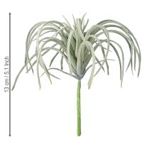 Itens Tillandsia suculenta plantas verdes artificiais 13cm